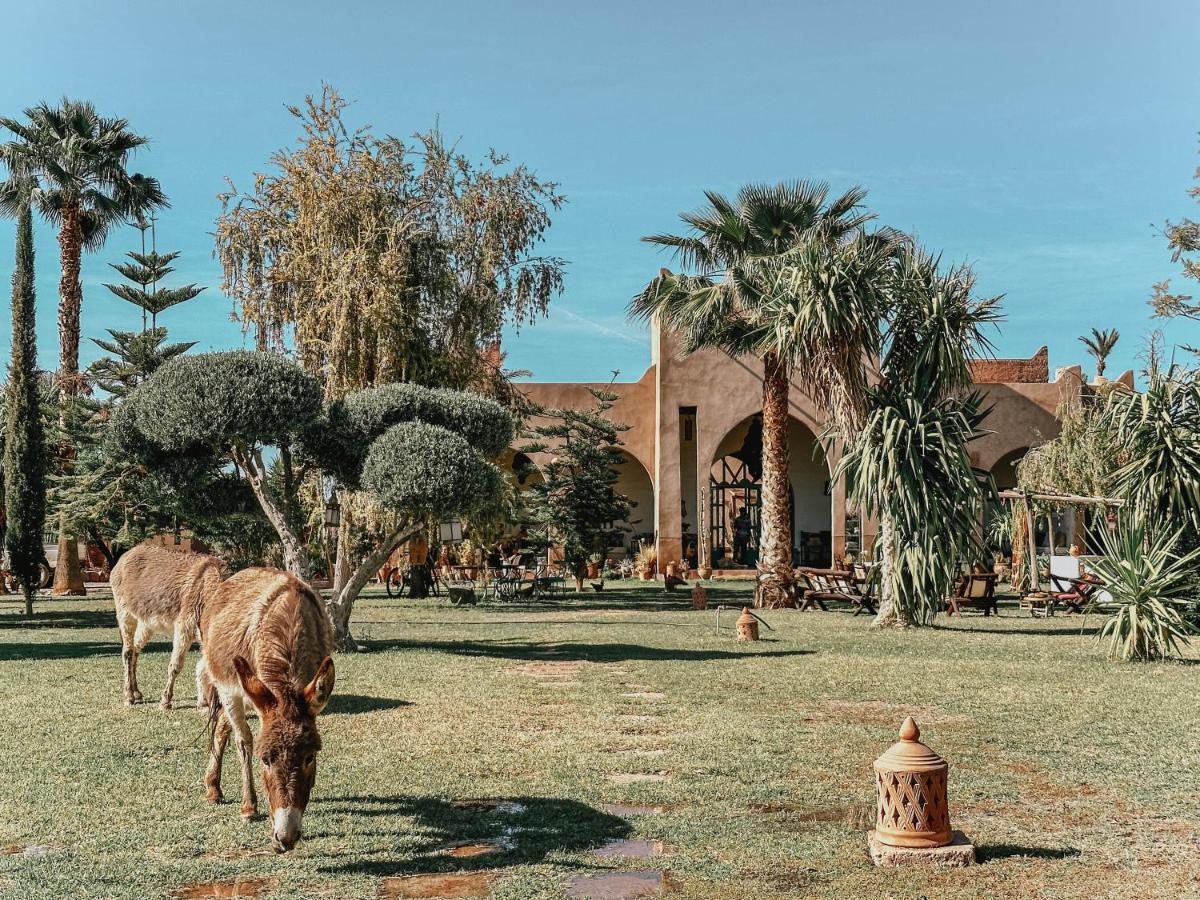 Le Bled De Gre Hotel El Makina Exterior photo